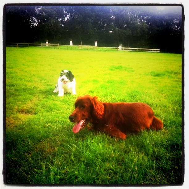 Sheriff ligt in het gras, met Donna achter hem